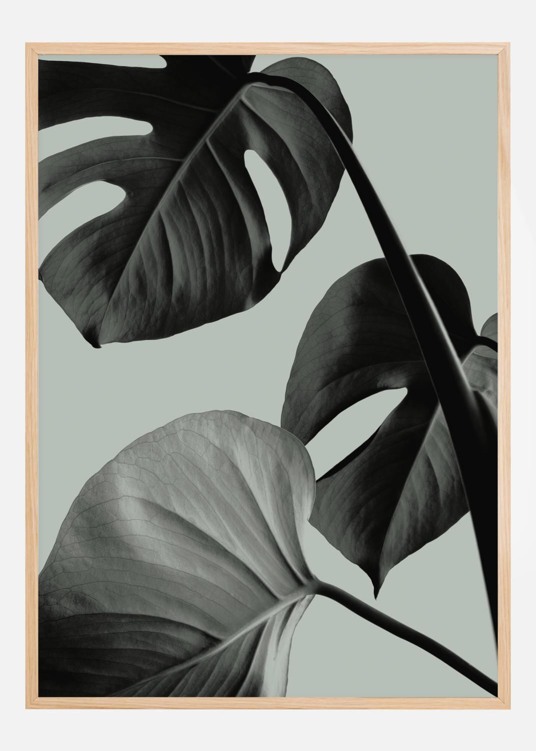 Product Image for Monstera Teal I Poster (30x40 cm)
