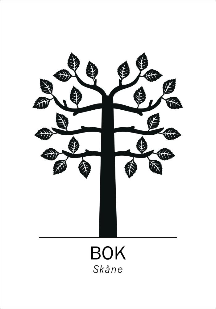 Bildverkstad Beuk - Skåne Poster
