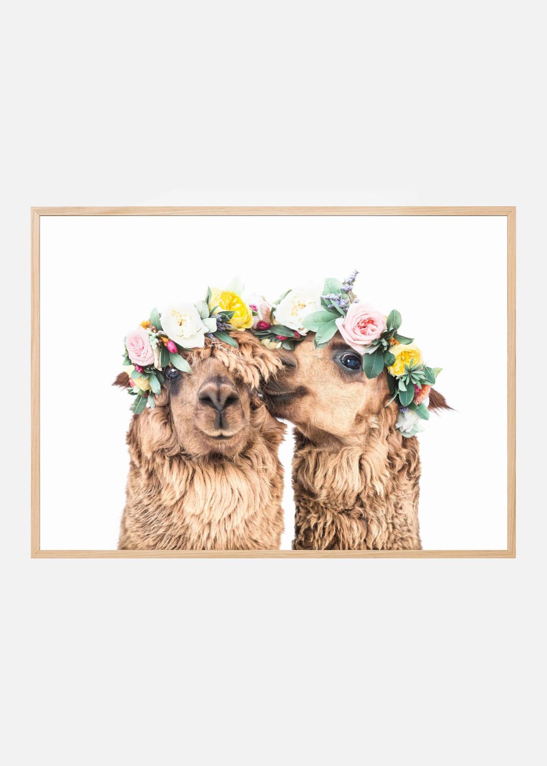 Product Image for Boho Alpacas Poster (30x40 cm)