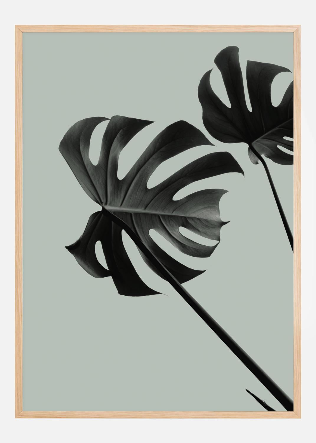 Product Image for Monstera Teal II Poster (50x70 cm)