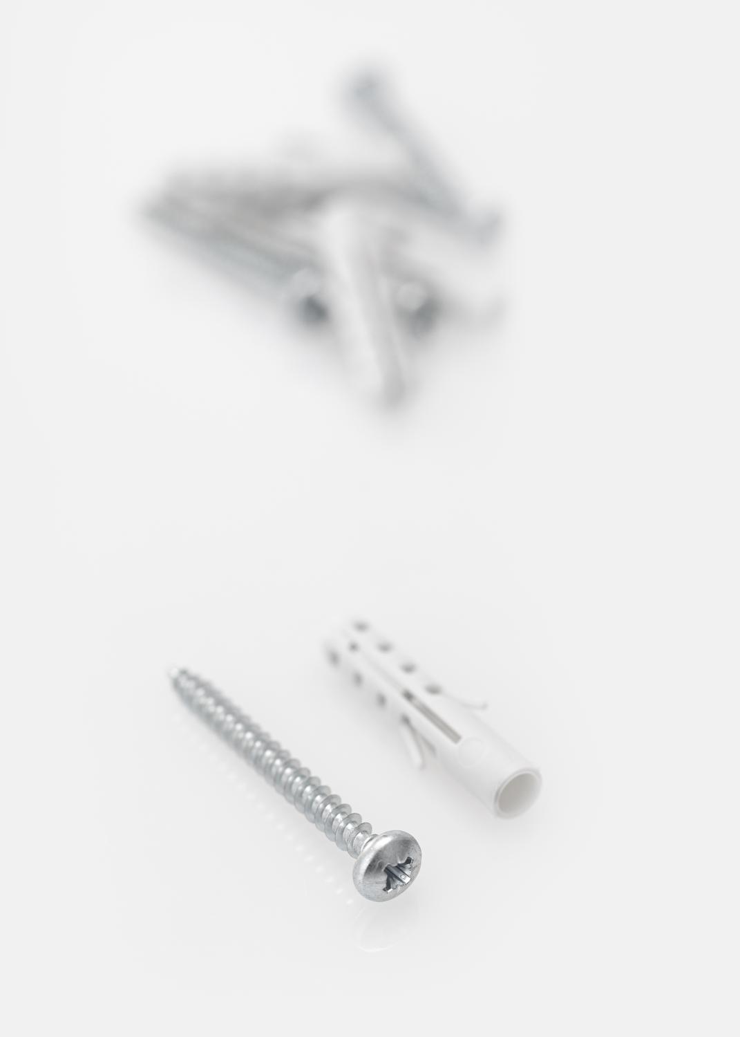 Product Image for Schroeven en pluggen voor betonmuur - 5-pack (40x8 mm)