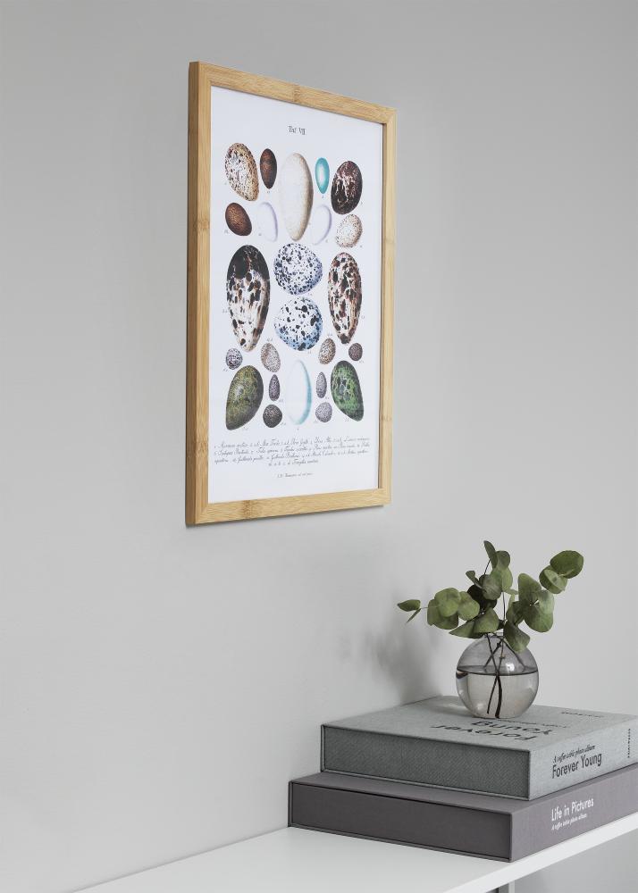 Hoei Danmark Fotolijst Hoei Bamboe Acrylglas 70x100 cm