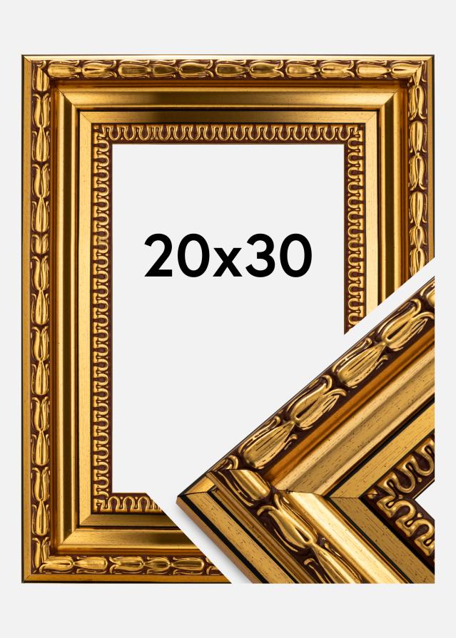 Ramverkstad Fotolijst Birka Premium Goud 20x30 cm
