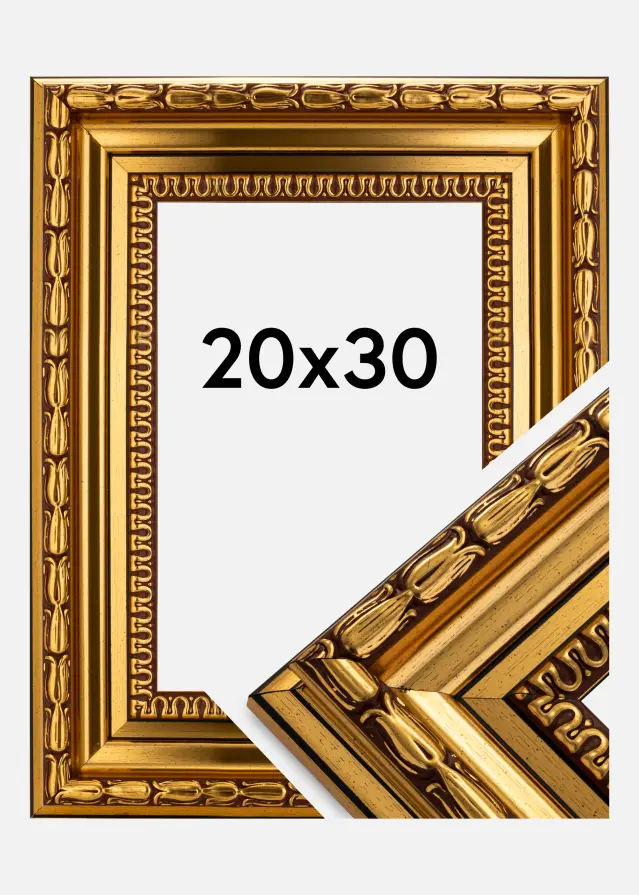Ramverkstad Fotolijst Birka Premium Goud 20x30 cm