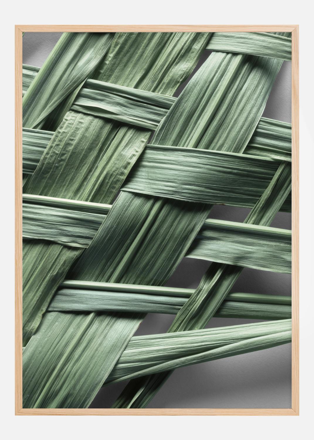 Product Image for Green leafs Poster (21x29.7 cm (A4))
