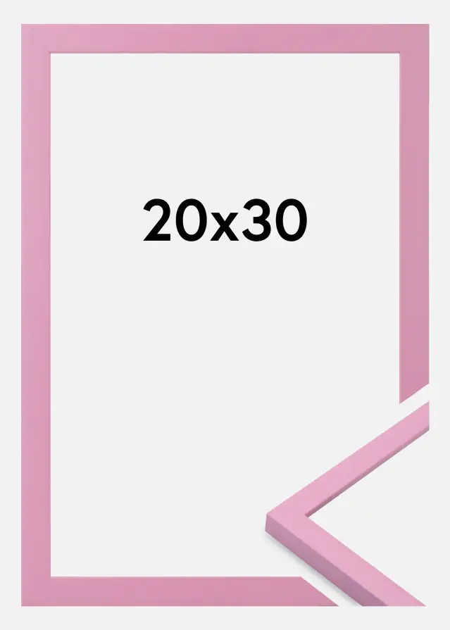Jämtlands Ramfabrik Fotolijst Kent Acrylglas Roze 20x30 cm