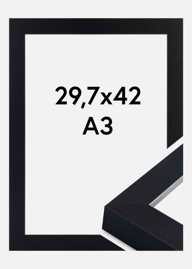 Jämtlands Ramfabrik Fotolijst Sussex Acrylglas Zwart/Zilver 29,7x42 cm (A3)