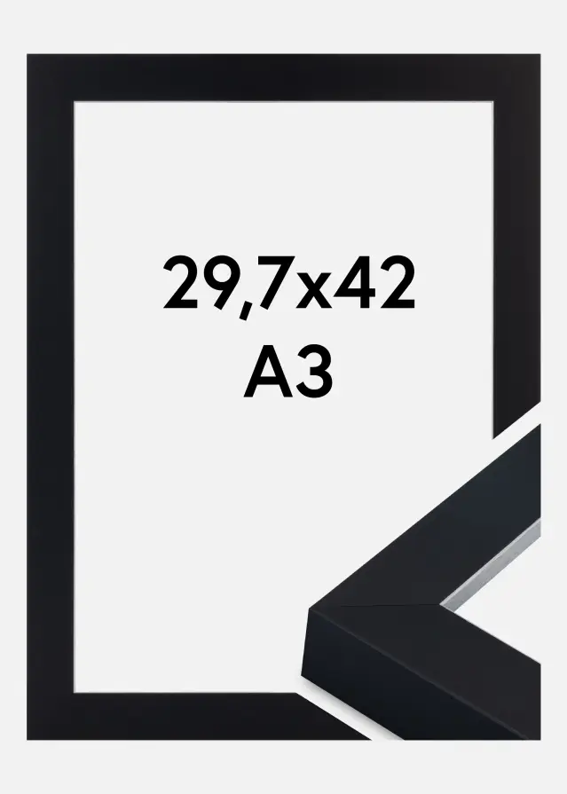 Jämtlands Ramfabrik Fotolijst Sussex Acrylglas Zwart/Zilver 29,7x42 cm (A3)