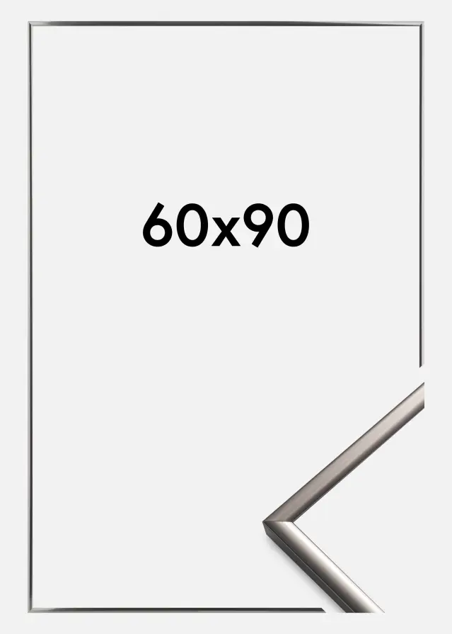 Walther Fotolijst New Lifestyle Staal - 60x90 cm