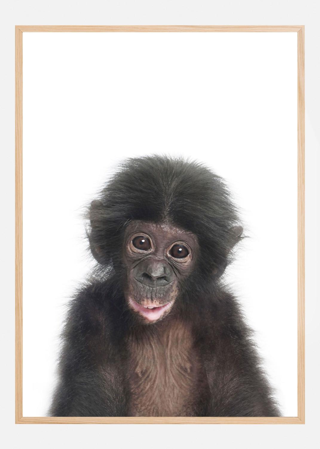Product Image for Baby Monkey Poster (21x29.7 cm (A4))