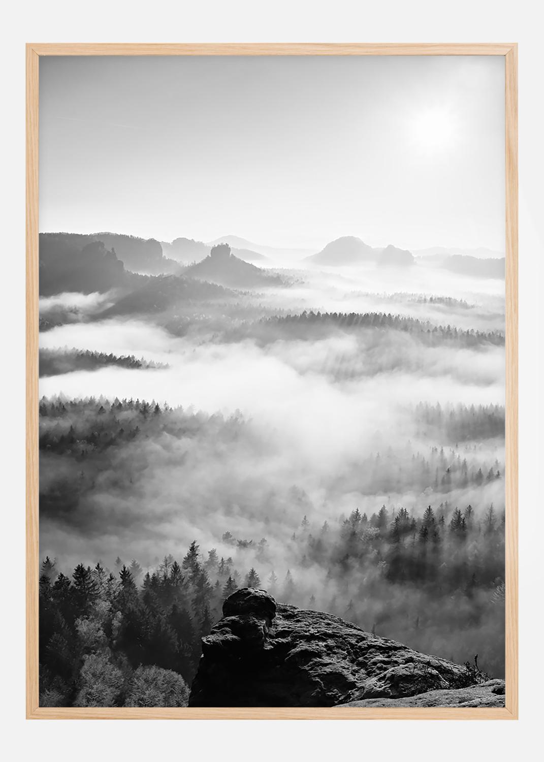 Product Image for Foggy Forest Black &amp; White I - 50x70 cm Poster