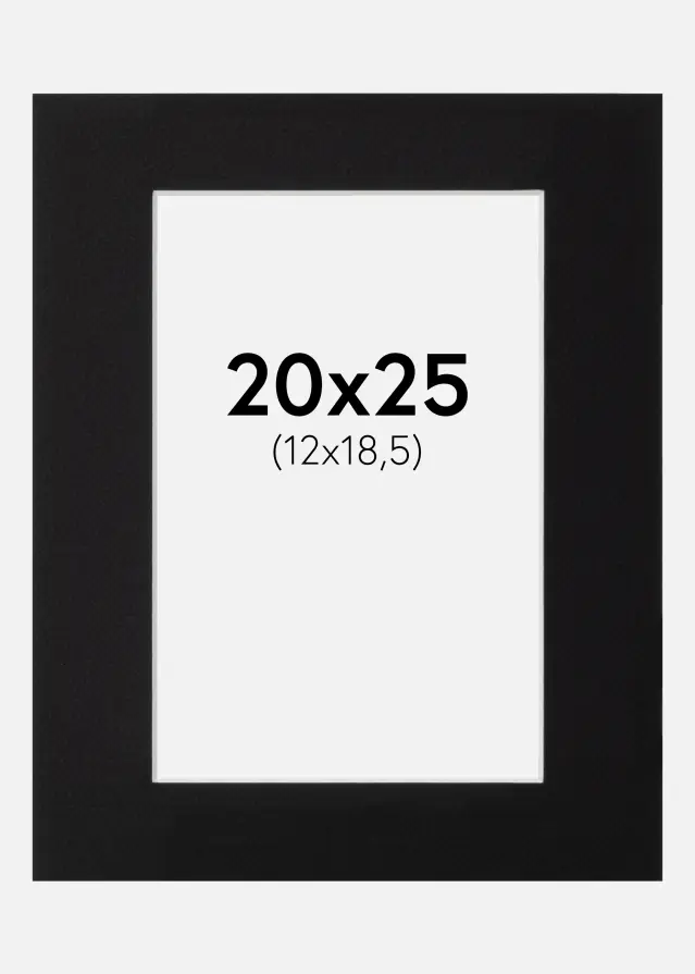 Galleri 1 Passe-partout Canson Zwart (Witte kern) 20x25 cm (12x18,5)