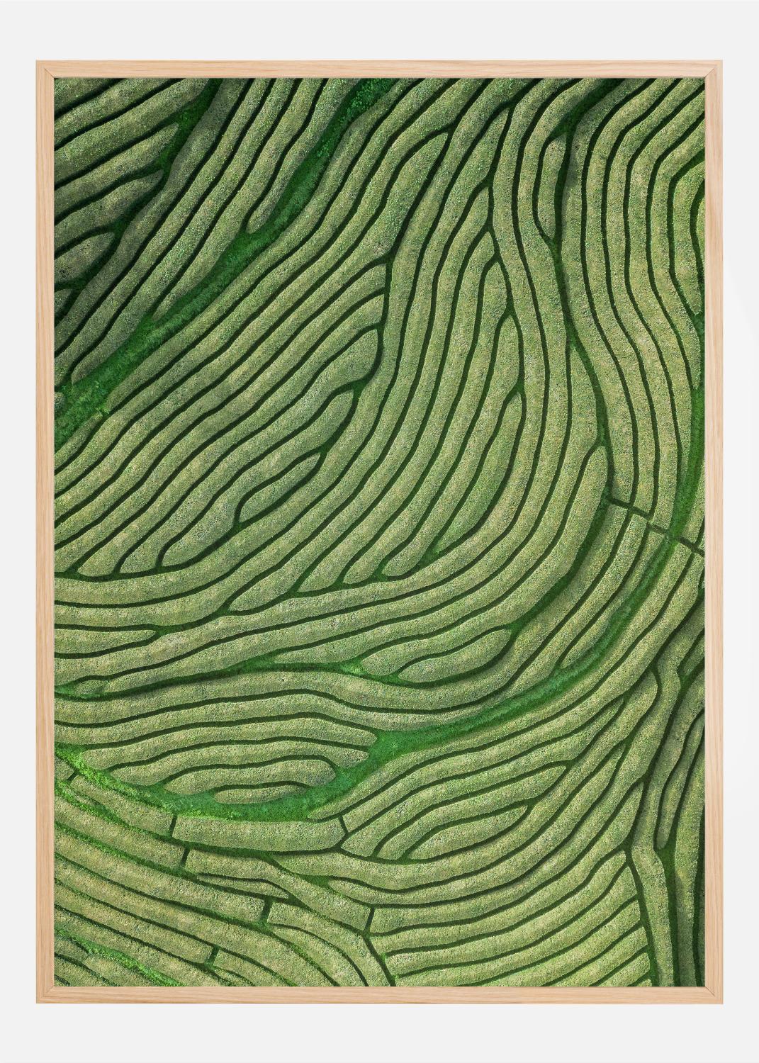 Product Image for Green lines Poster (21x29.7 cm (A4))