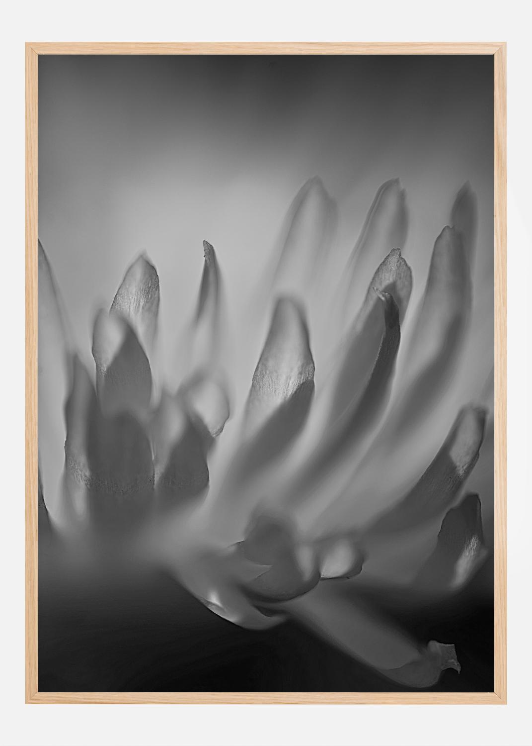 Product Image for Black and White Shaddows Poster (21x29.7 cm (A4))
