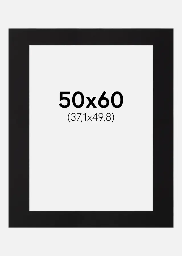 Galleri 1 Passe-partout Canson Zwart (Witte kern) 50x60 cm (37,1x49,8)