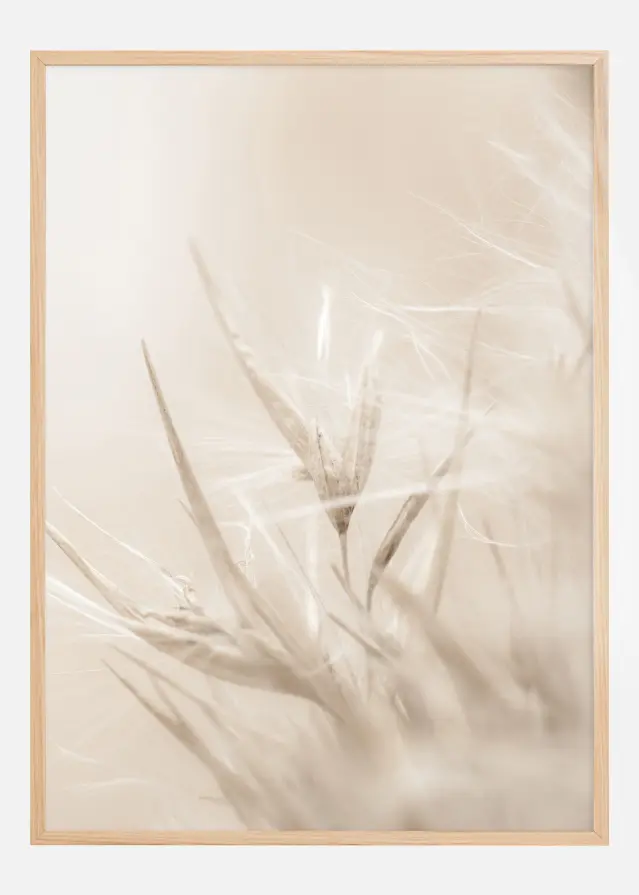 Bildverkstad Beige Dried Straws l Poster