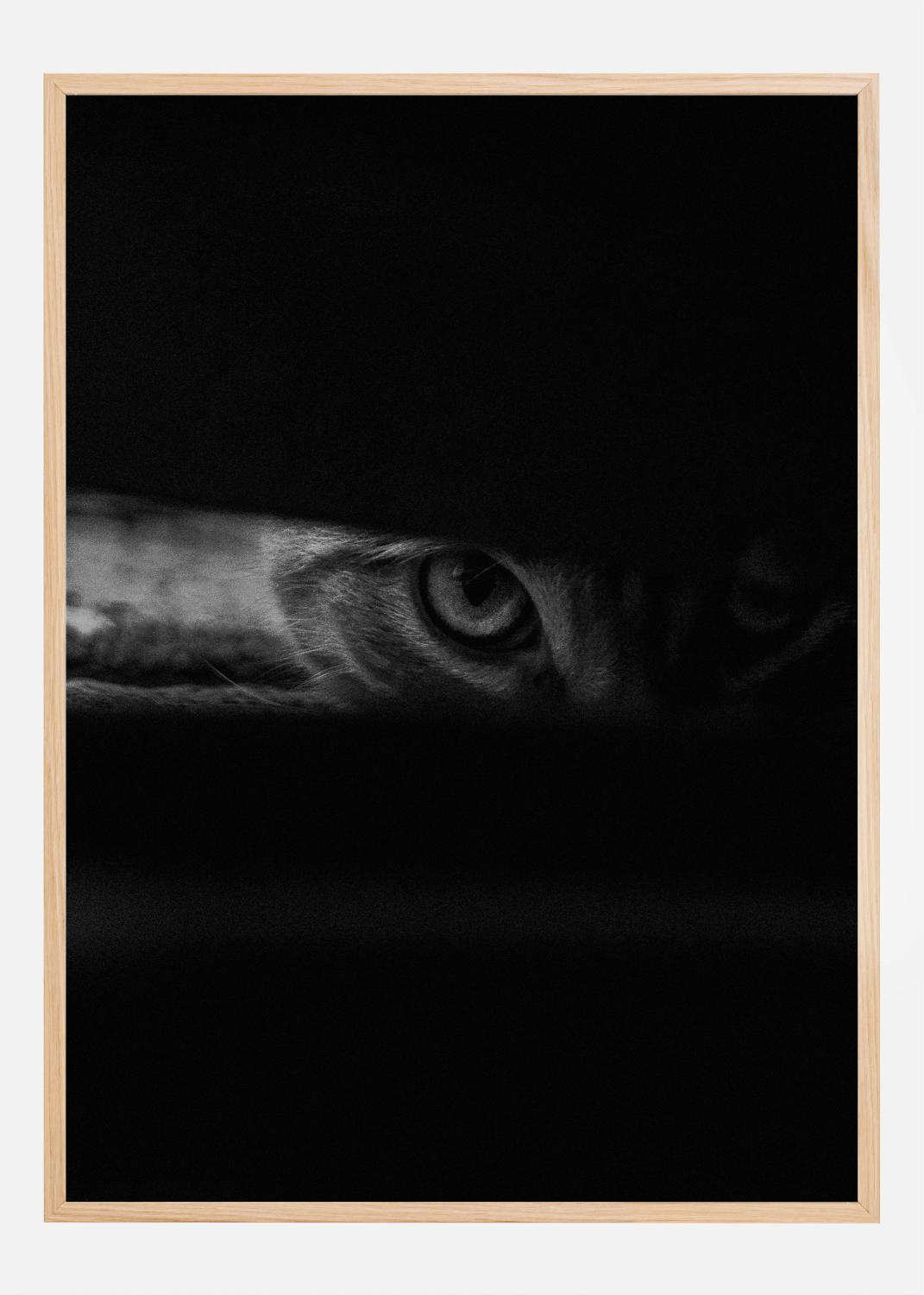Product Image for Peeking cat Poster (21x29.7 cm (A4))