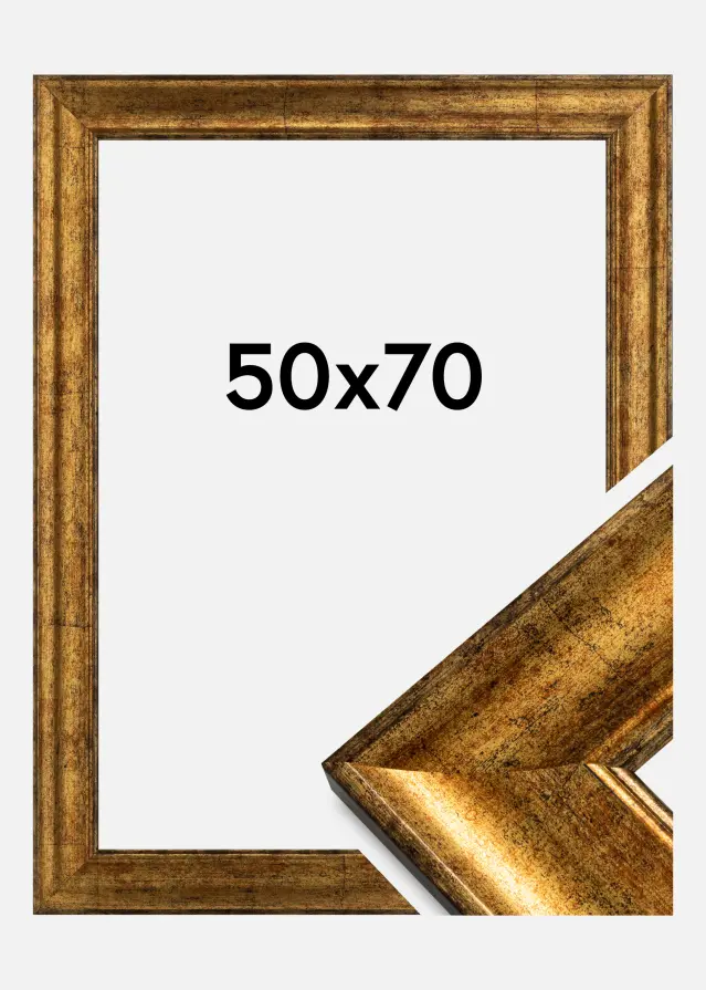 Galleri 1 Fotolijst Saltsjöbaden Goud 50x70 cm