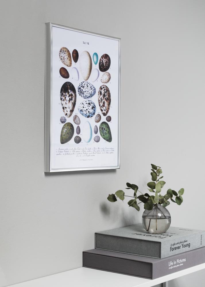 Ram med passepartou Fotolijst Poster Frame Aluminium Zilver 70x100 cm - Passe-partout Zwart 60x90 cm