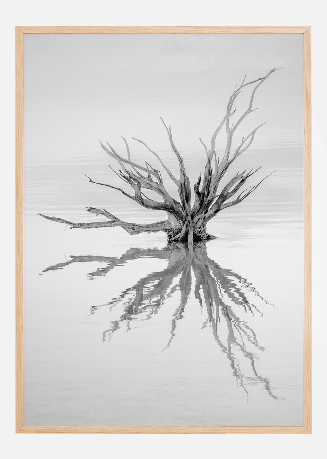 Product Image for Reaching Out Poster (40x50 cm)