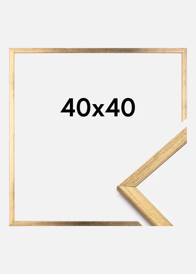 Estancia Fotolijst Galant Goud 40x40 cm