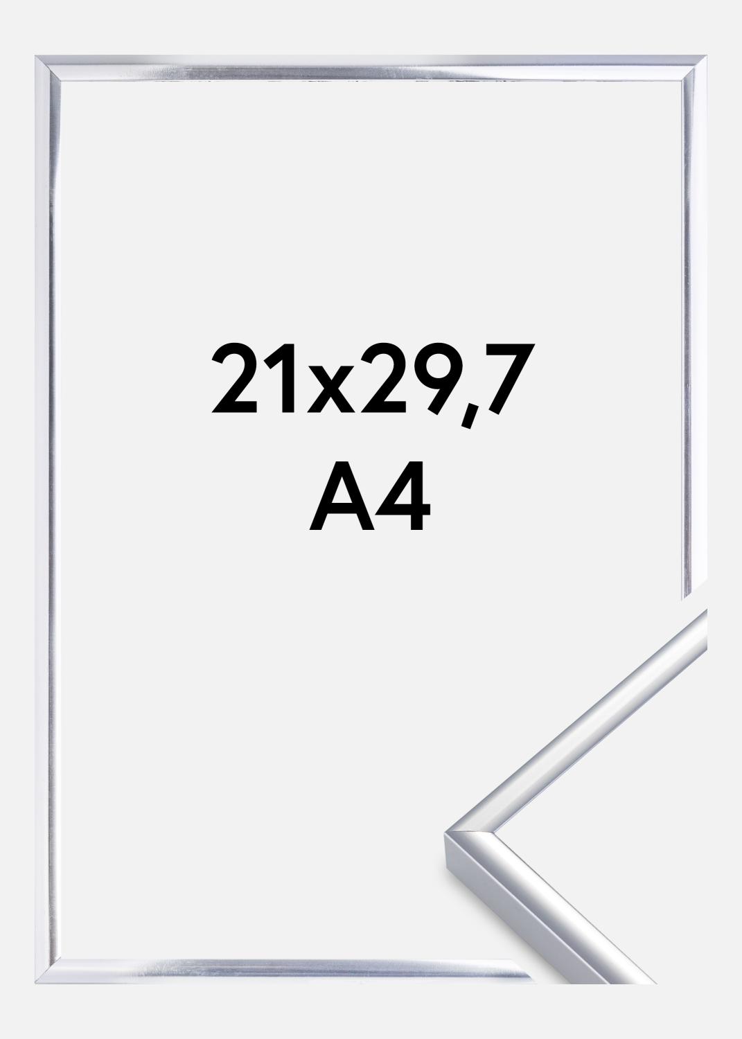 Product Image for Fotolijst Aluminium Acrylglas Glanzend Zilver 21x29,7 cm (A4)
