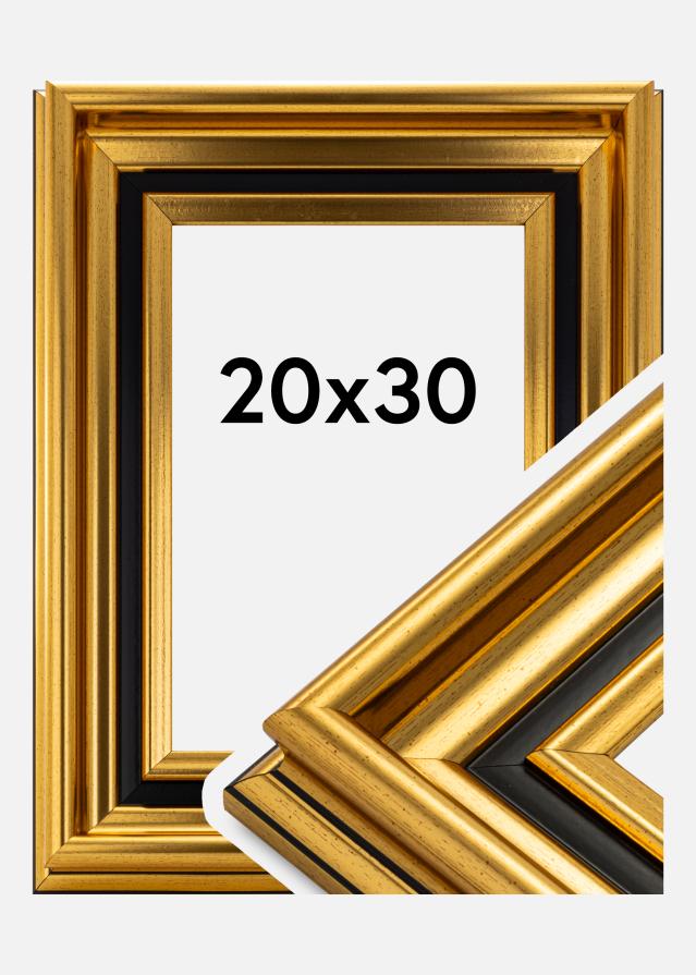 Ramverkstad Fotolijst Gysinge Premium Goud 20x30 cm
