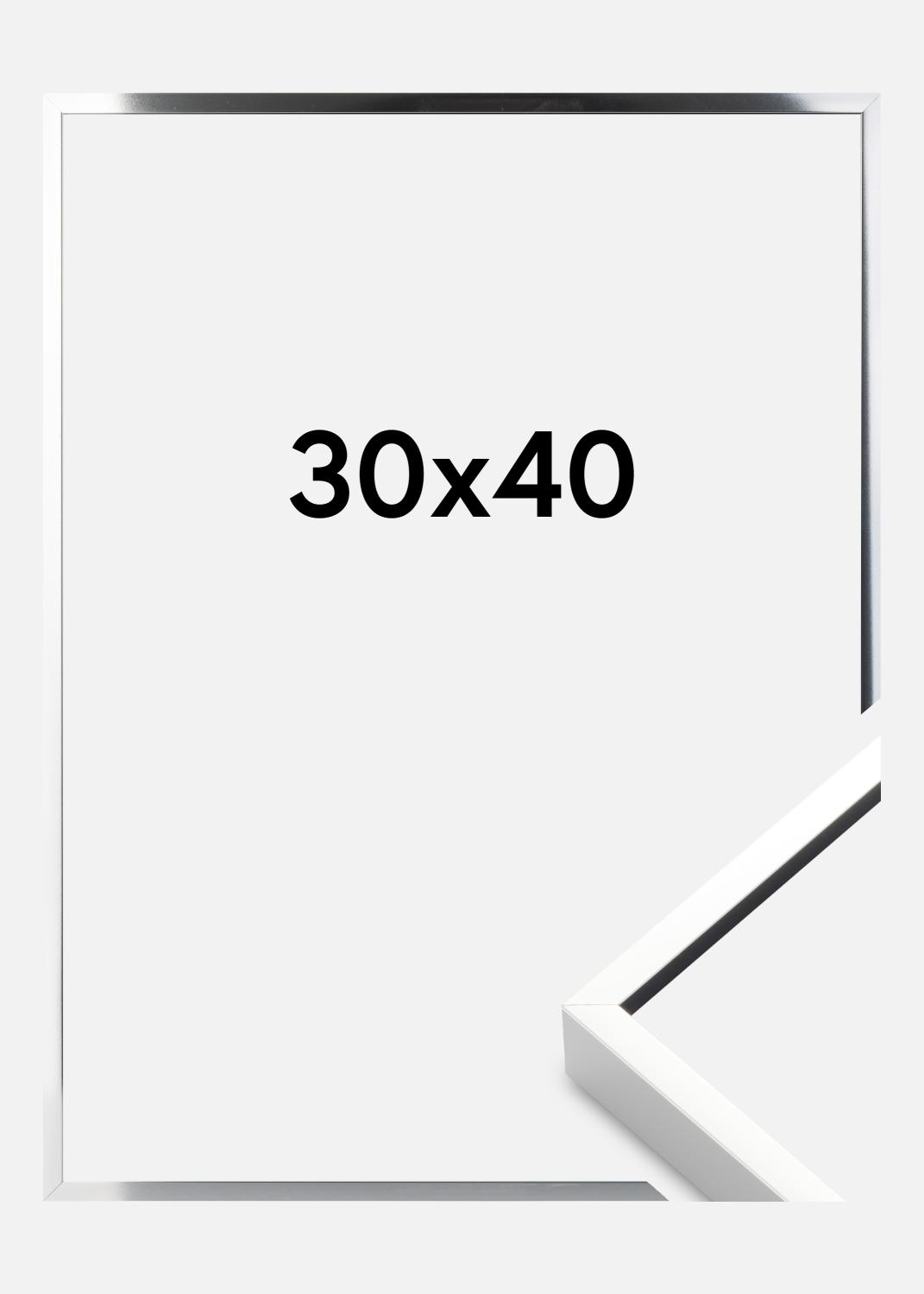 Product Image for Fotolijst Nielsen Premium Alpha Blank Zilver 30x40 cm
