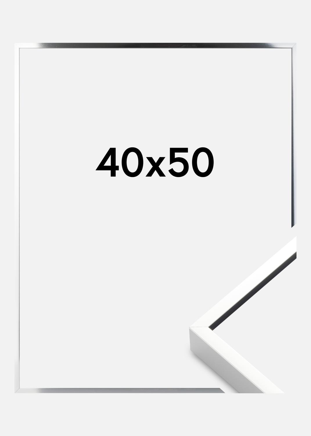 Product Image for Fotolijst Nielsen Premium Alpha Blank Zilver 40x50 cm