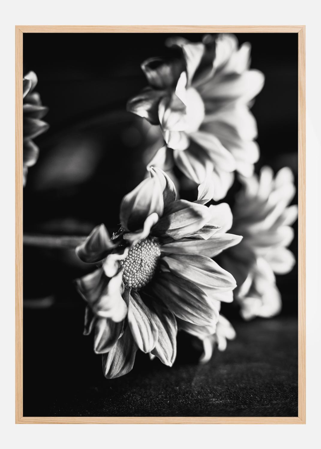 Product Image for Black and White Flowers Poster (21x29.7 cm (A4))