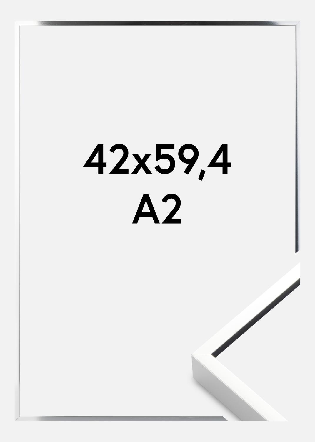Product Image for Fotolijst Nielsen Premium Alpha Blank Zilver 42x59,4 cm (A2)