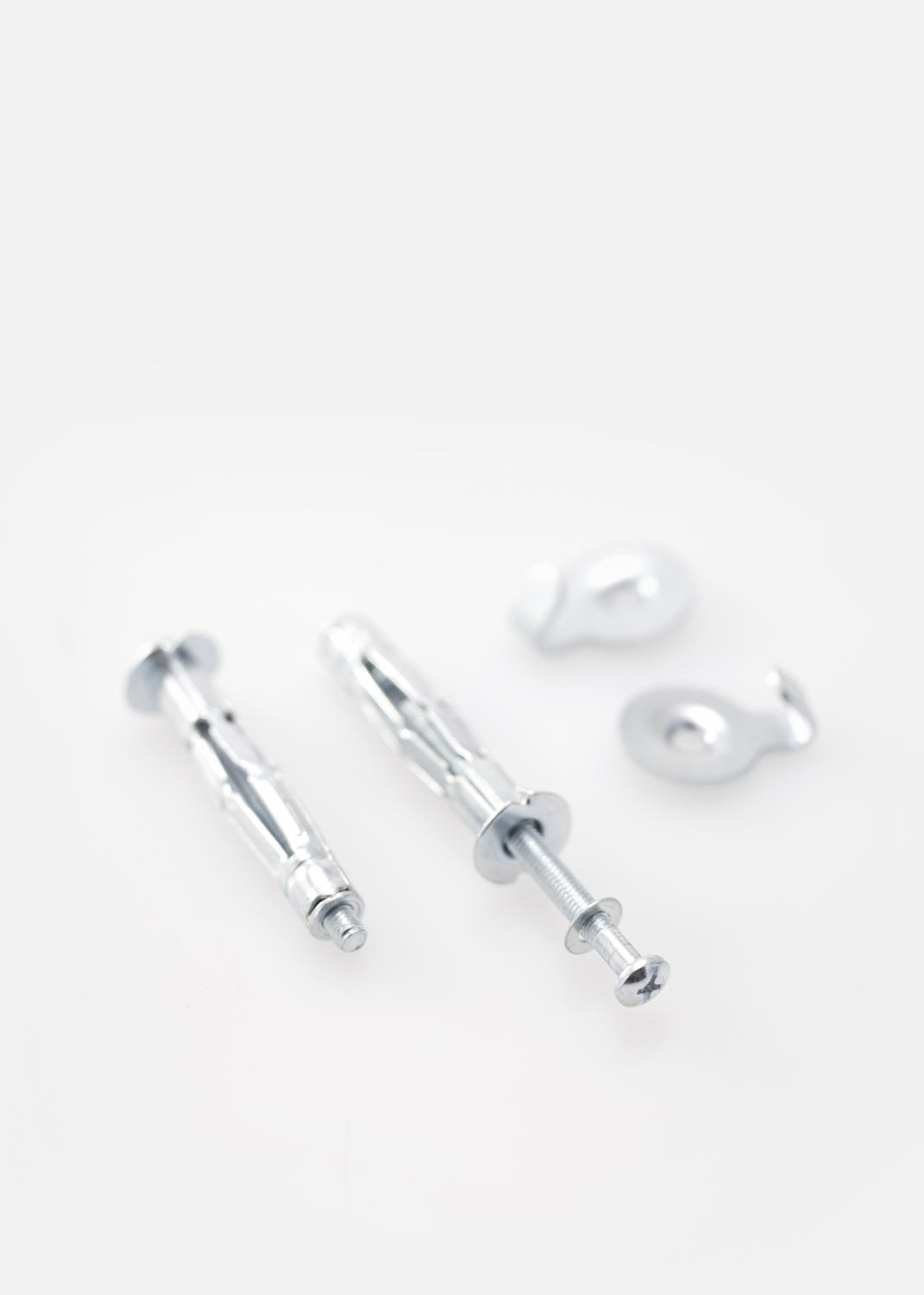 Product Image for Schroeven en pluggen voor gipsmuur 5 mm - 2 pack