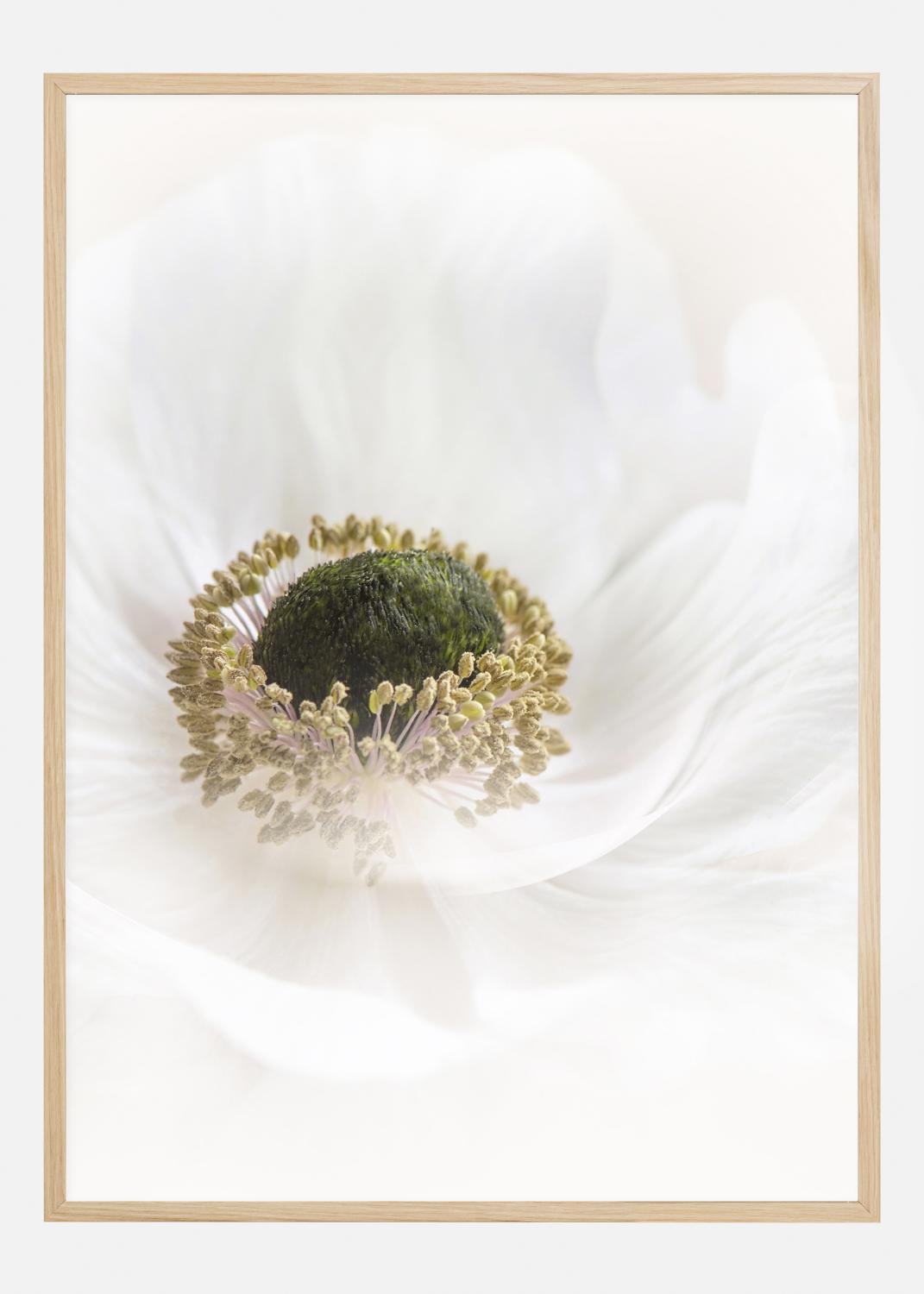 Product Image for Pure Poster (21x29.7 cm (A4))