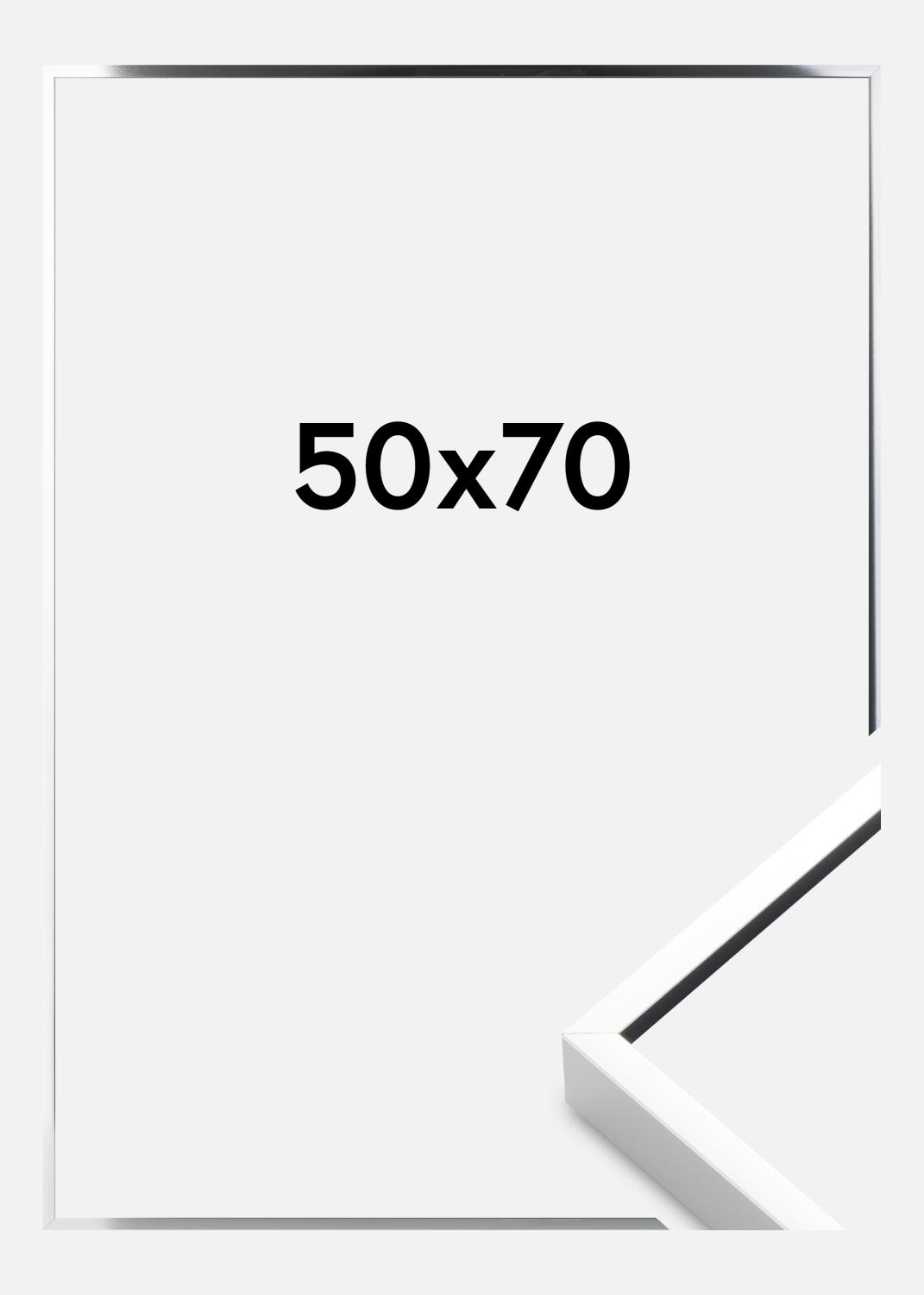 Product Image for Fotolijst Nielsen Premium Alpha Blank Zilver 50x70 cm