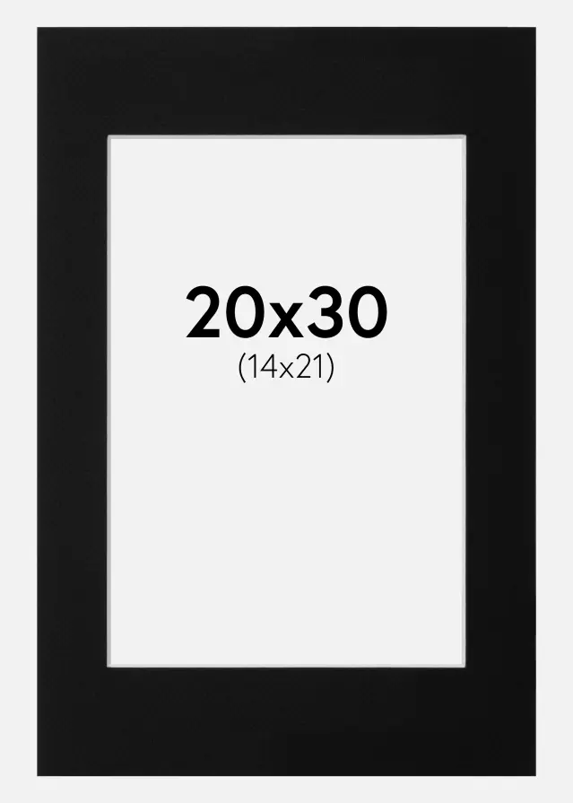 Galleri 1 Passe-partout Canson Zwart (Witte kern) 20x30 cm (14x21)