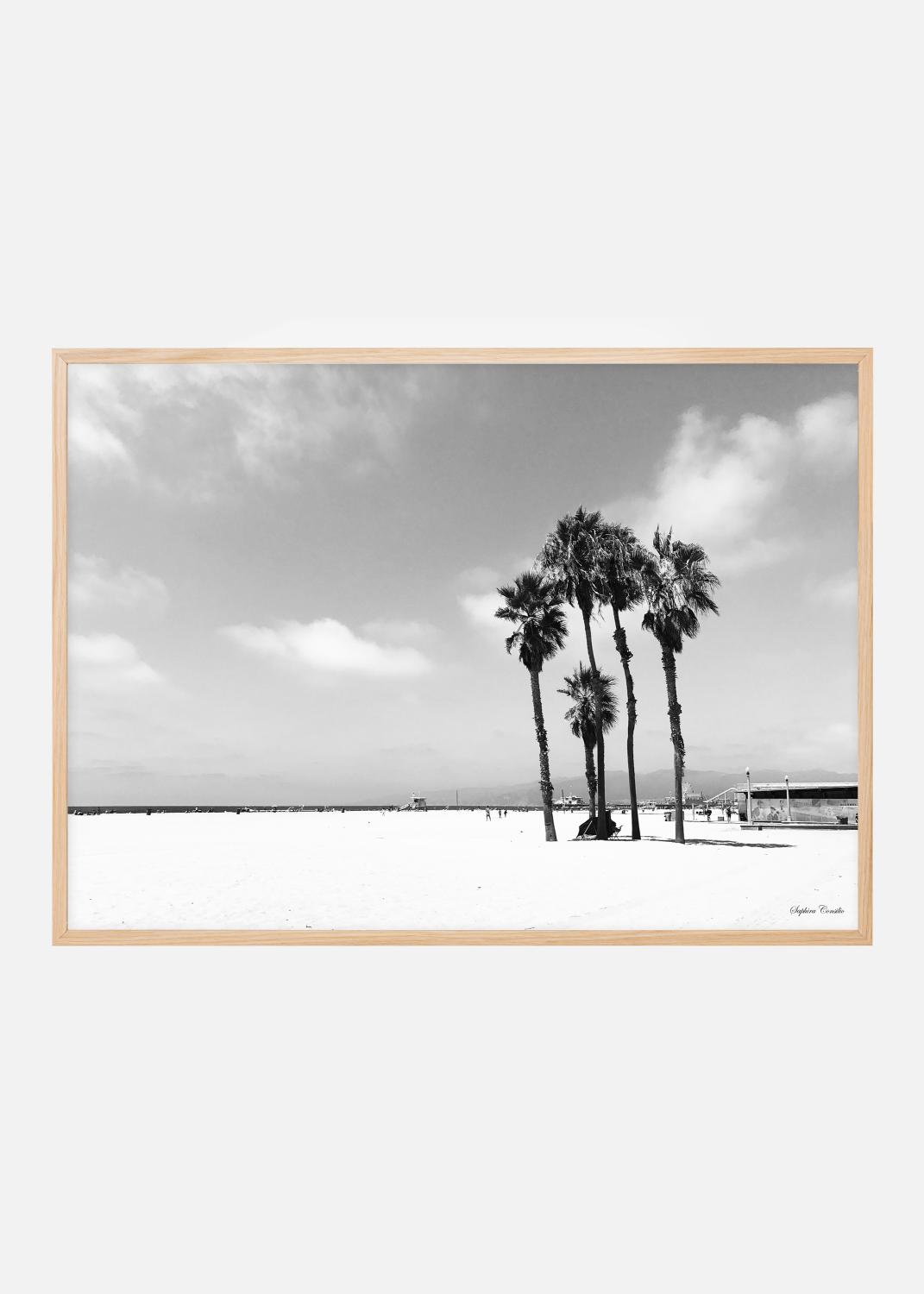 Product Image for Venice Beach Ocean Poster (21x29,7 cm (A4))