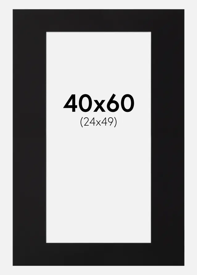 Galleri 1 Passe-partout Canson Zwart (Witte kern) 40x60 cm (24x49)