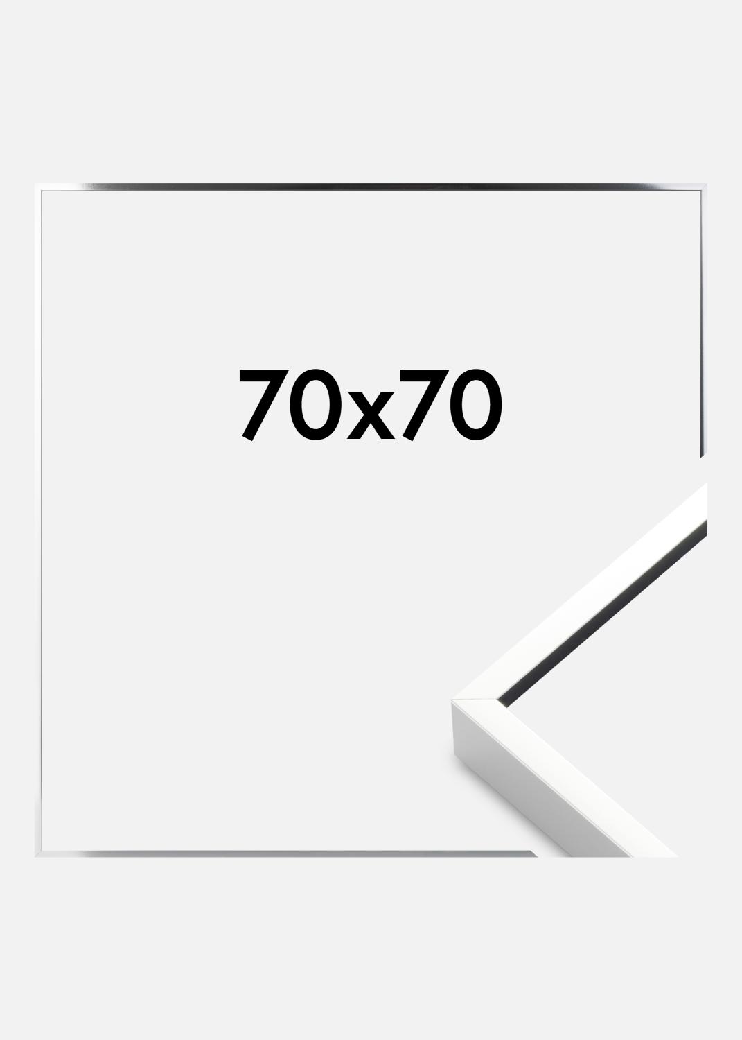 Product Image for Fotolijst Nielsen Premium Alpha Blank Zilver 70x70 cm