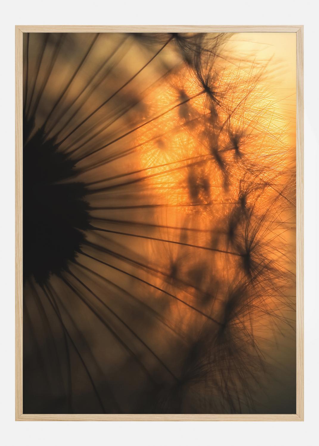 Product Image for Sunset Poster (21x29.7 cm (A4))