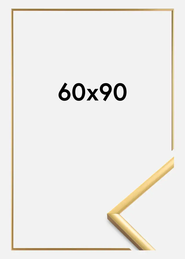 Walther Fotolijst New Lifestyle Acrylglas Shiny Gold 60x90 cm