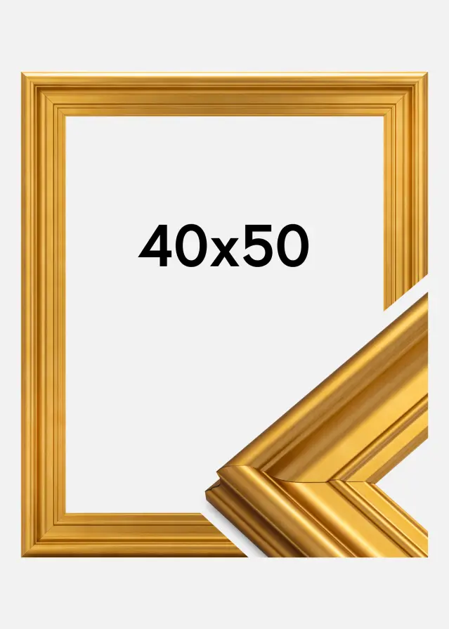 Galleri 1 Fotolijst Mora Premium Acrylglas Goud 40x50 cm