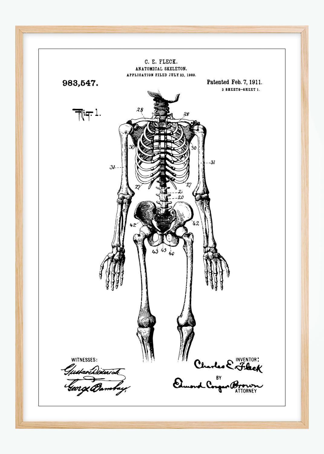 Product Image for Patenttekening - Anatomisch skelet I Poster (50x70 cm)