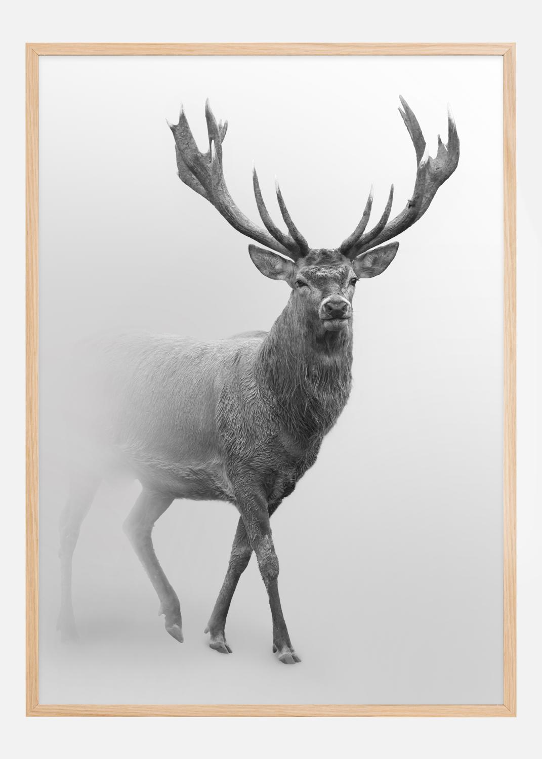 Product Image for Black and white Red deer Poster (30x40 cm)