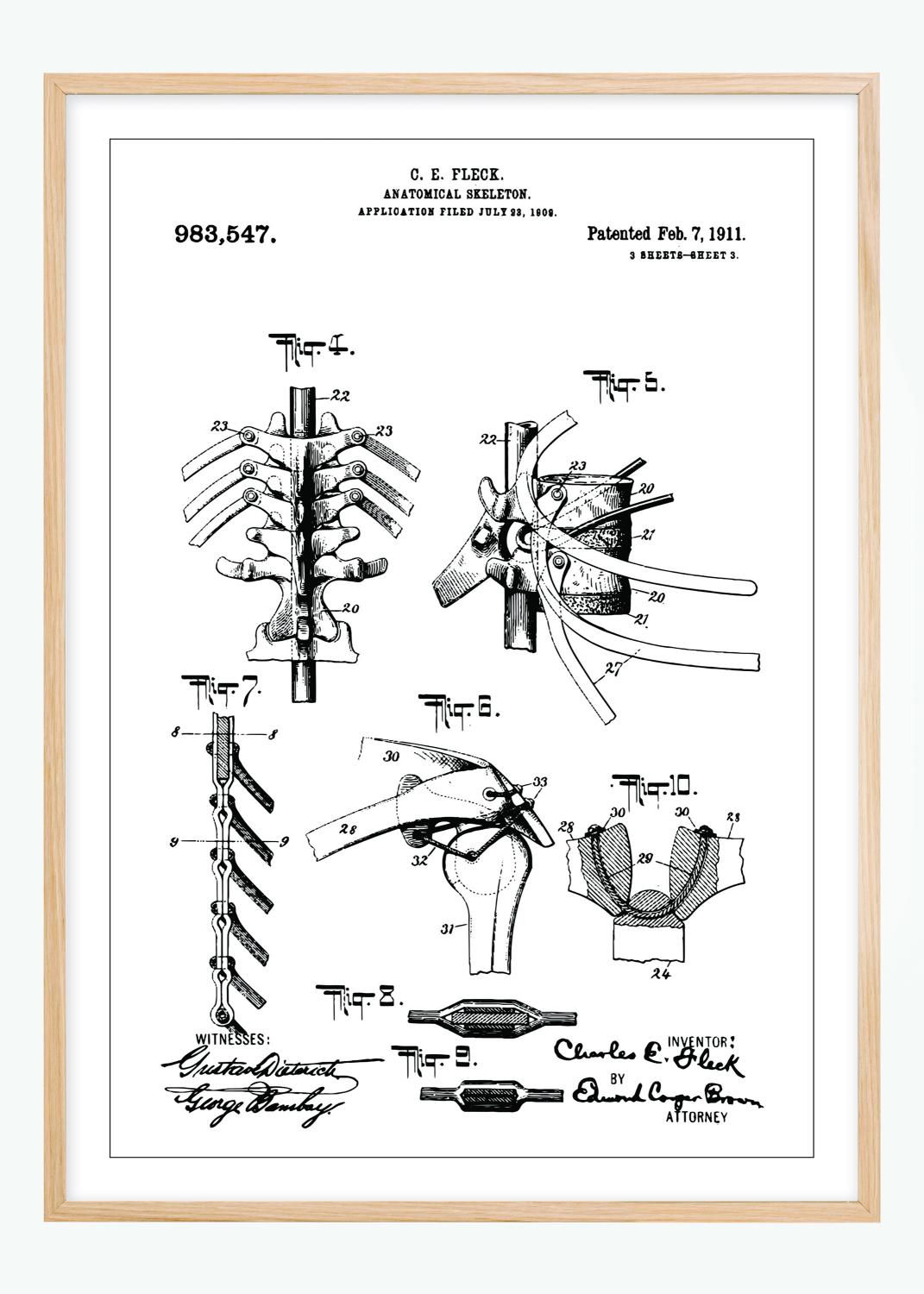 Product Image for Patenttekening - Anatomisch skelet III Poster (70x100 cm)