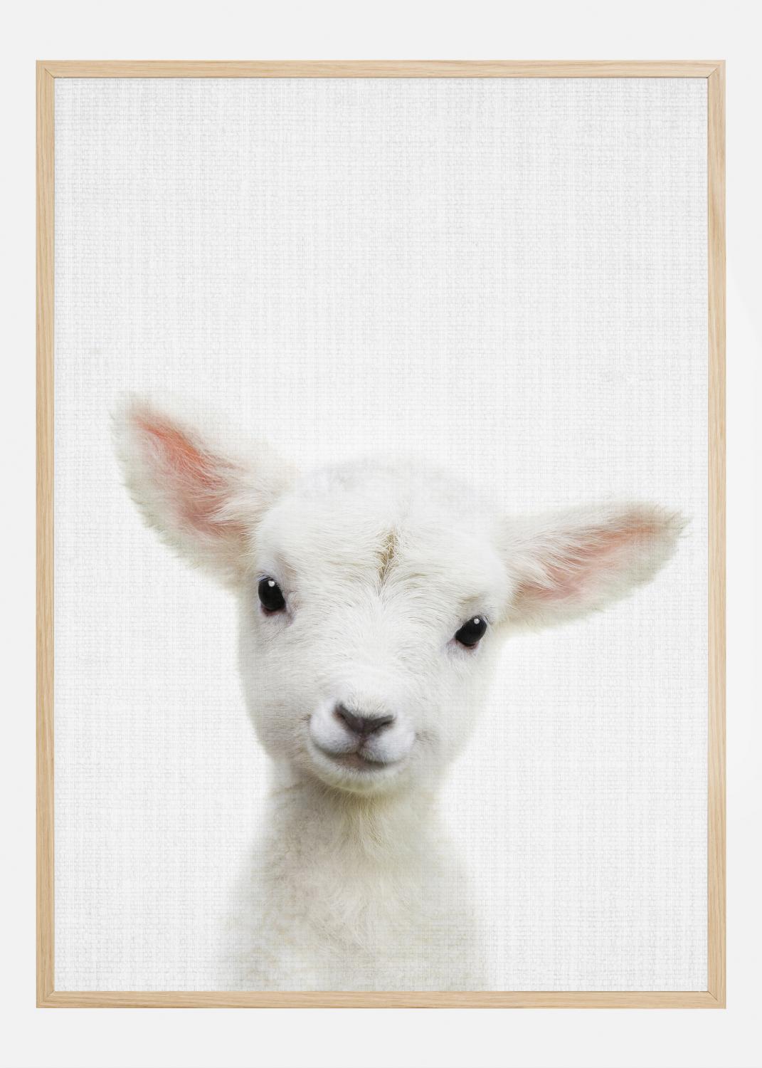 Product Image for Peekaboo Baby Sheep Poster (21x29.7 cm (A4))