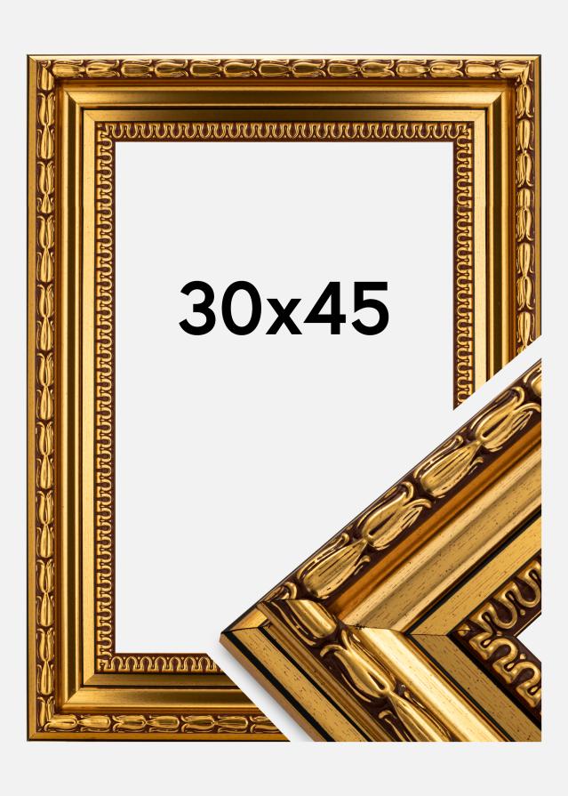 Ramverkstad Fotolijst Birka Premium Goud 30x45 cm