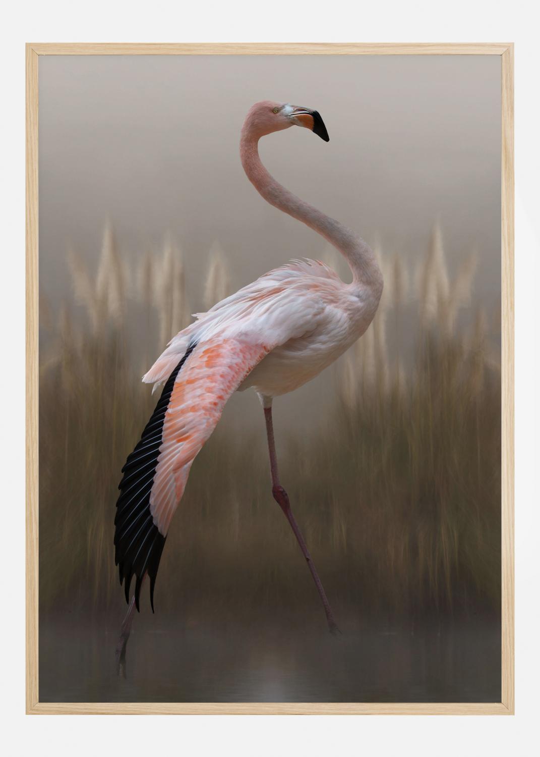 Product Image for Grace Poster (21x29.7 cm (A4))