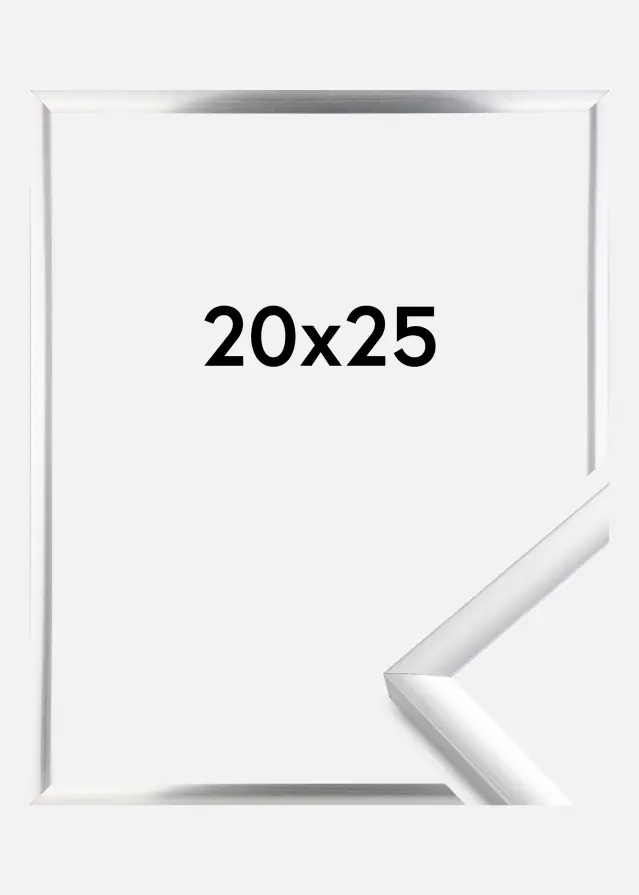 Walther Fotolijst New Lifestyle Zilver 20x25 cm