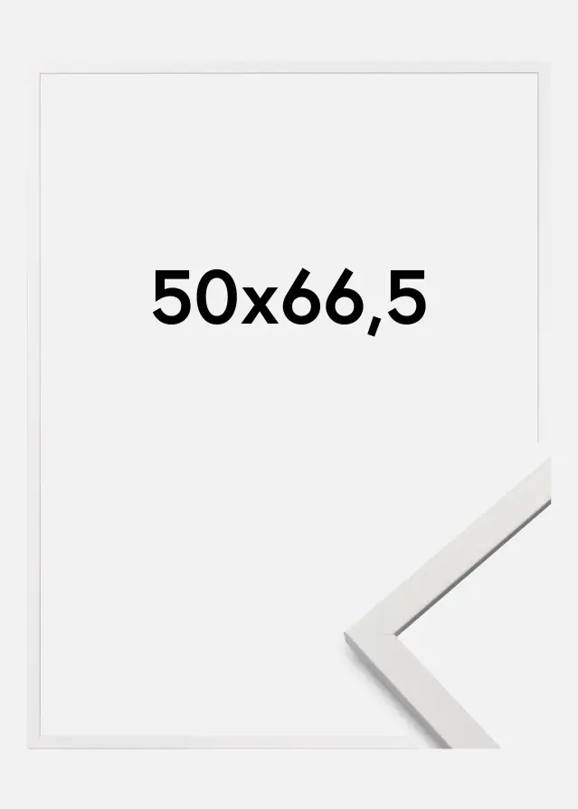 Galleri 1 Fotolijst Edsbyn Acrylglas Wit 50x66,5 cm