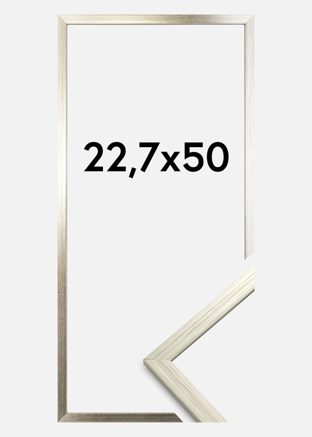Product Image for Fotolijst Edsbyn Acrylglas Zilver 22,7x50 cm